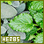 herbs fanlisting